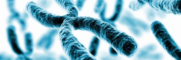 broad_science Profile Banner
