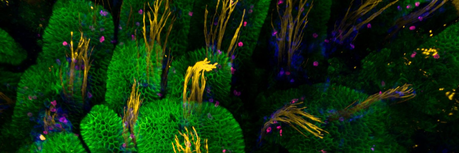 Scottish Microscopy Society's banner