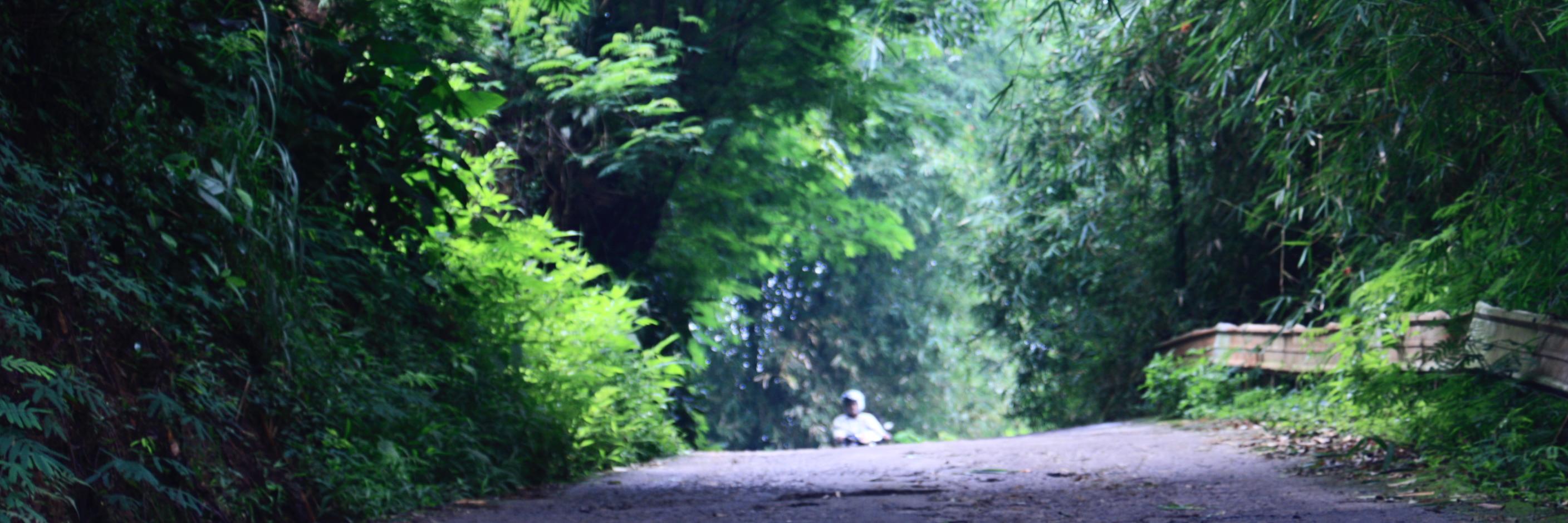 ichandery1's profile banner image