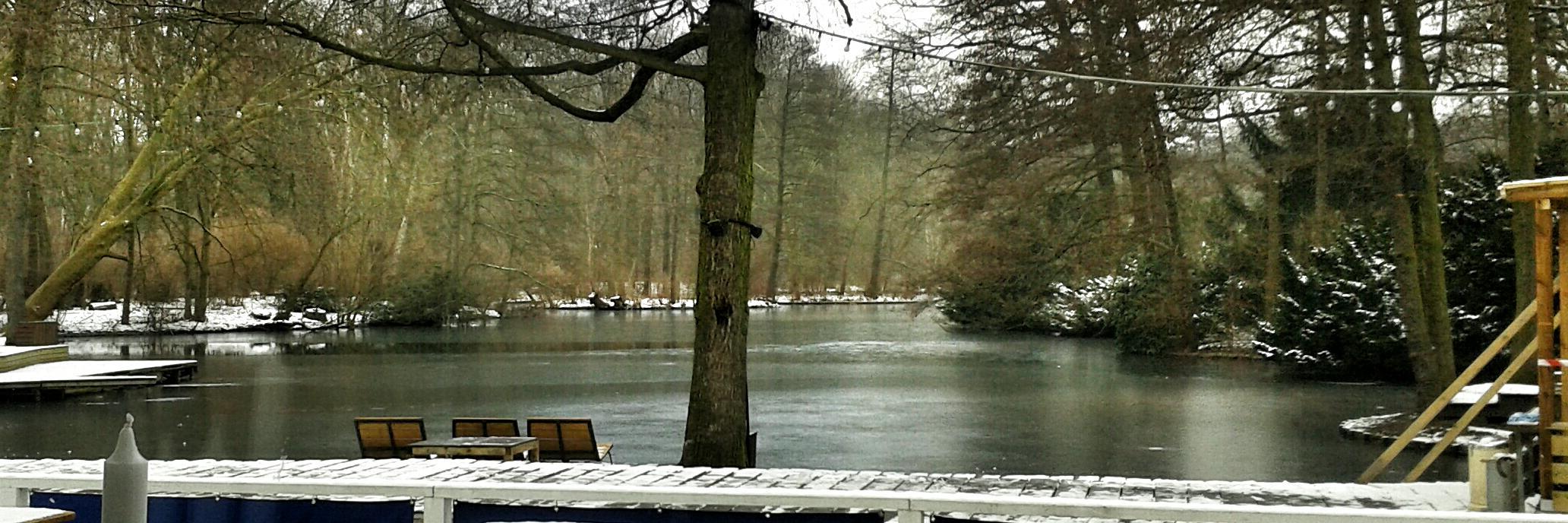 Patrick Goldstein banner