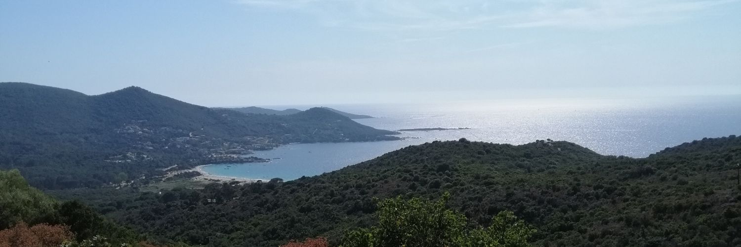Gerstemberg's profile banner image