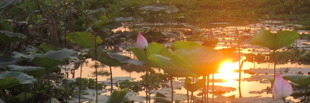 mrhieu11592's profile banner image