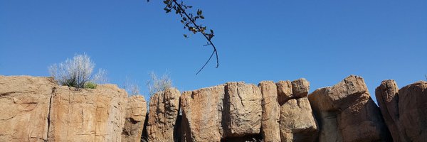 MoonSifat Profile Banner