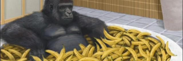 Koko the Gorilla banner