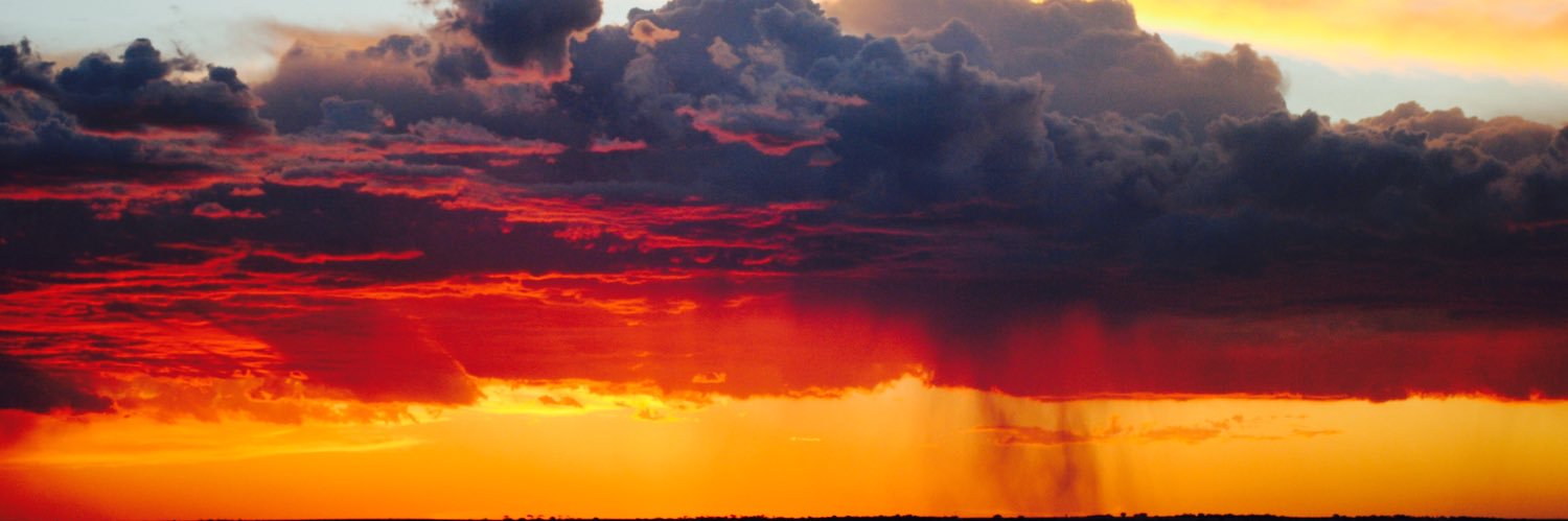 Melissa Zweck banner