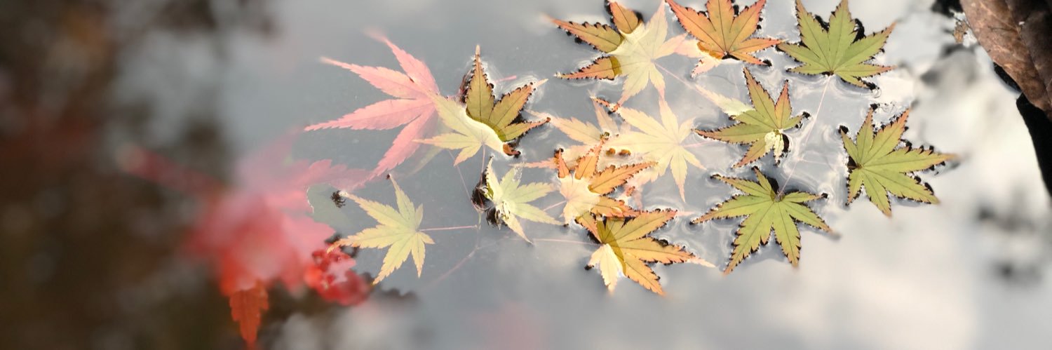 大1生 banner