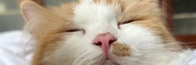 raulish's profile banner image