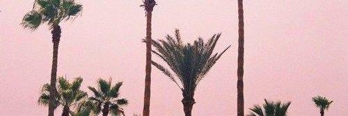 demielou's profile banner image