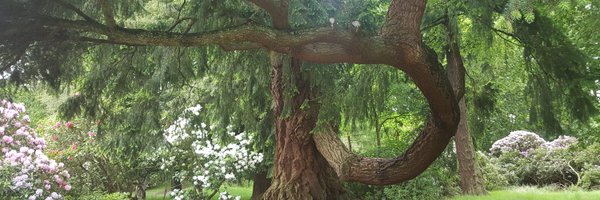 LabakeFakunle Profile Banner