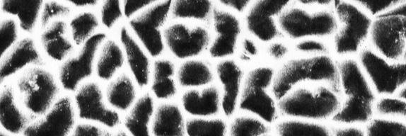 Manic_Static's profile banner image