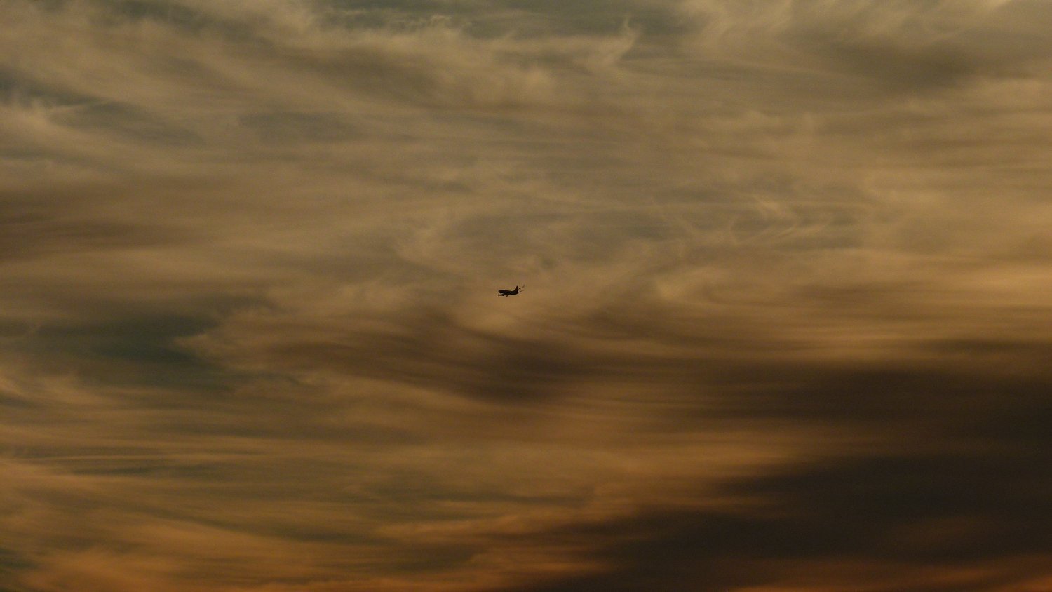 Annalina Caputo banner