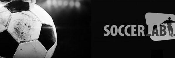 Robert de Vries banner