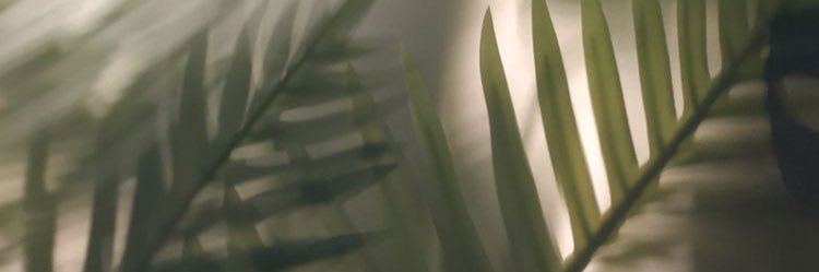 mizuki #10🐻🩷 banner