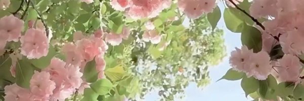 hyunvellark Profile Banner