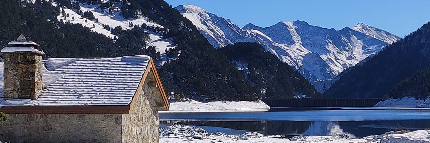 GiuliaFornabaio's profile banner image