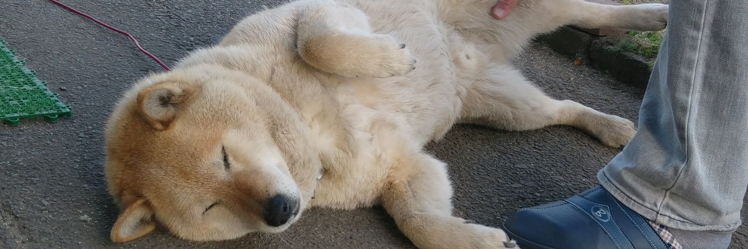 慎ちゃん from 秋田 banner