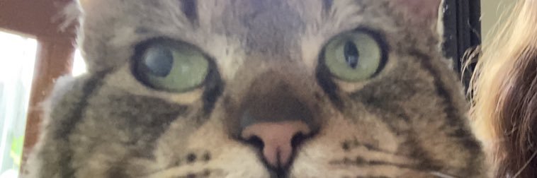 trashgrill420's profile banner image