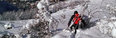 Alessandro Tavoni - now at: @atavoni.bsky.social banner