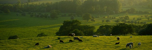 AlephFarms Profile Banner