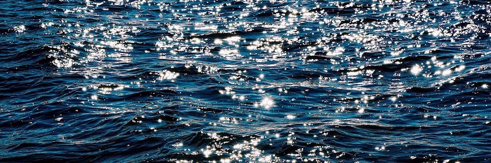 🌊 (Taylor’s version) banner