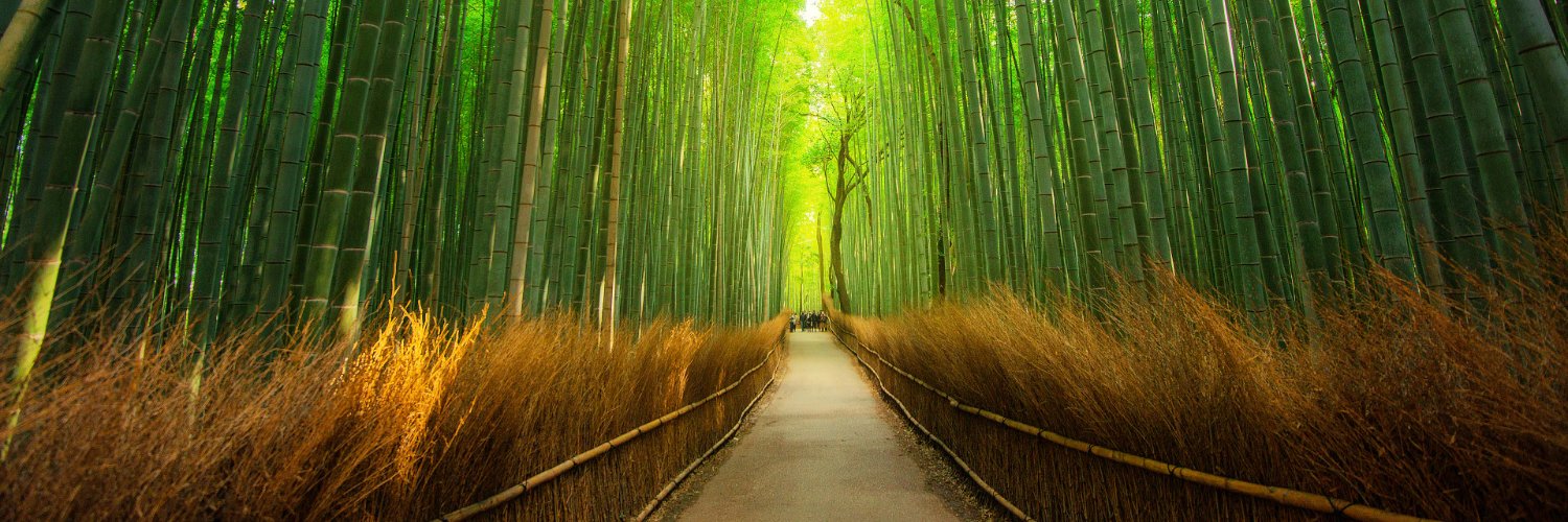 Barış Can 🌿 banner