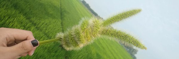 0xtopper Profile Banner