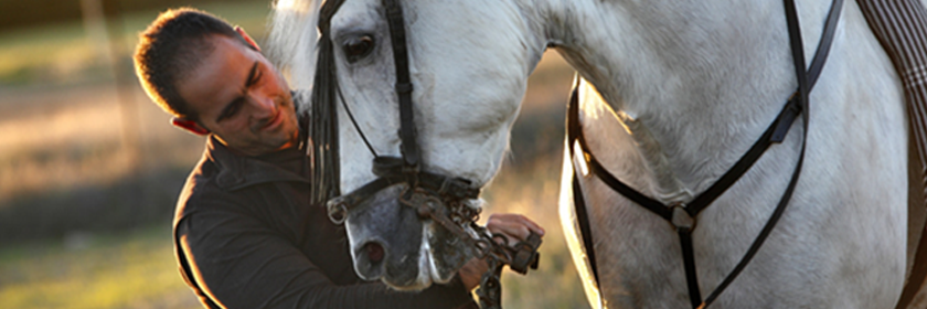 Amigoscaballo's profile banner image