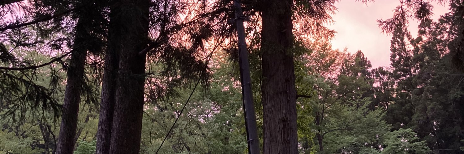 2gorgeous4m's profile banner image