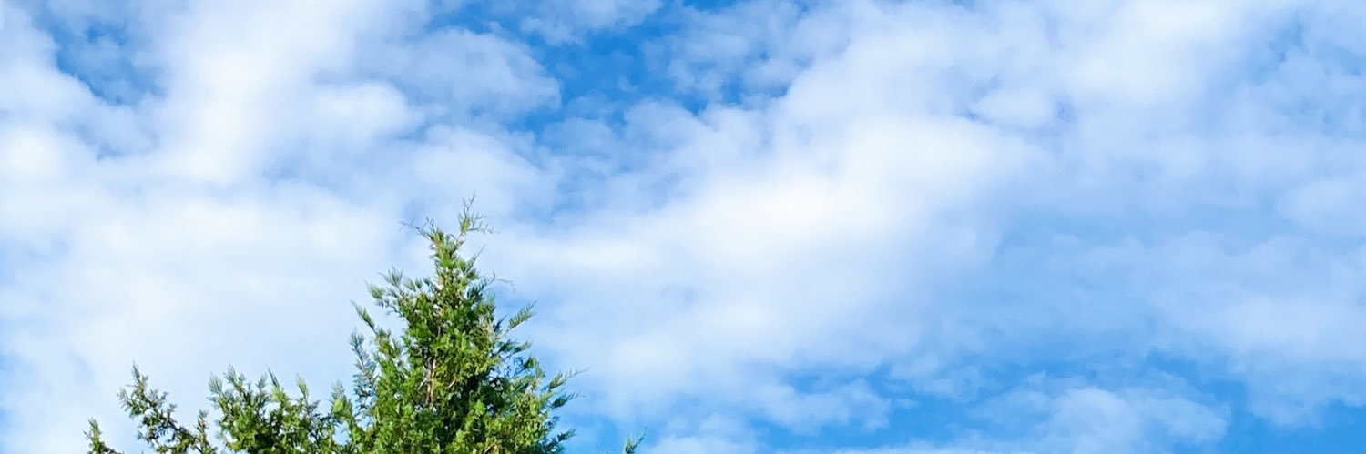 leicafe's profile banner image