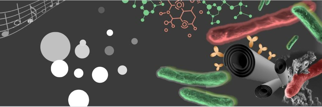 Ofer Prinz Setter banner