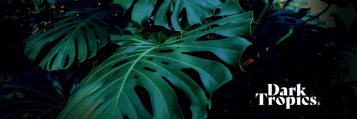 Dark Tropics banner