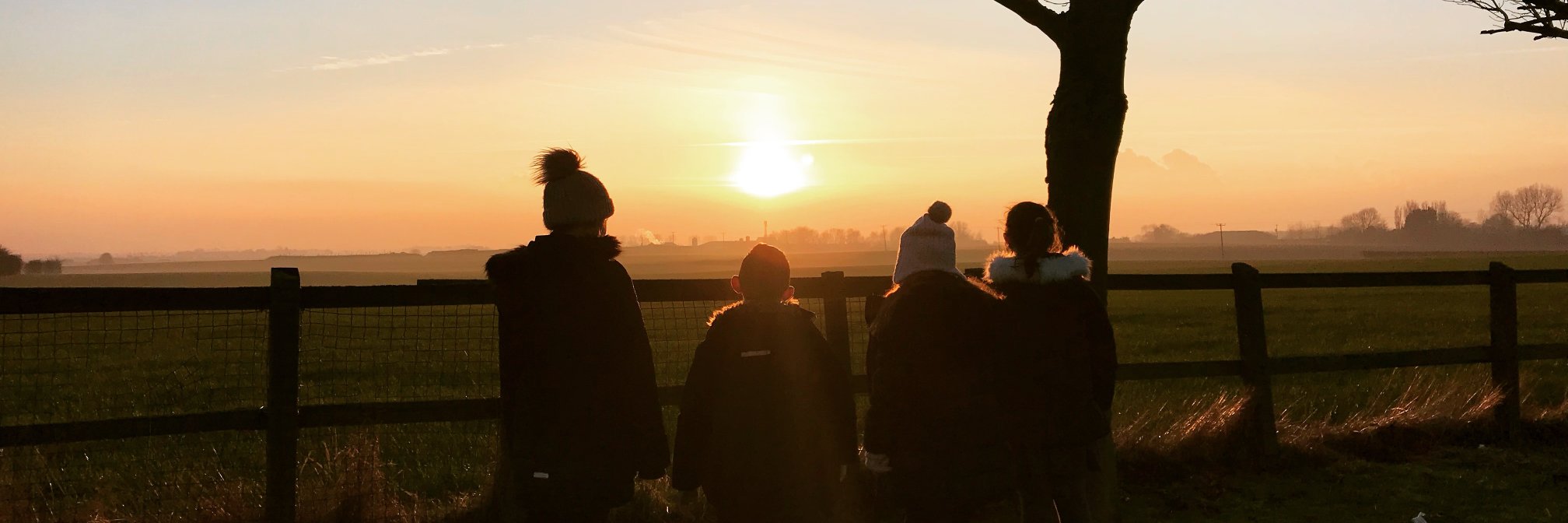 Wild Intervention banner