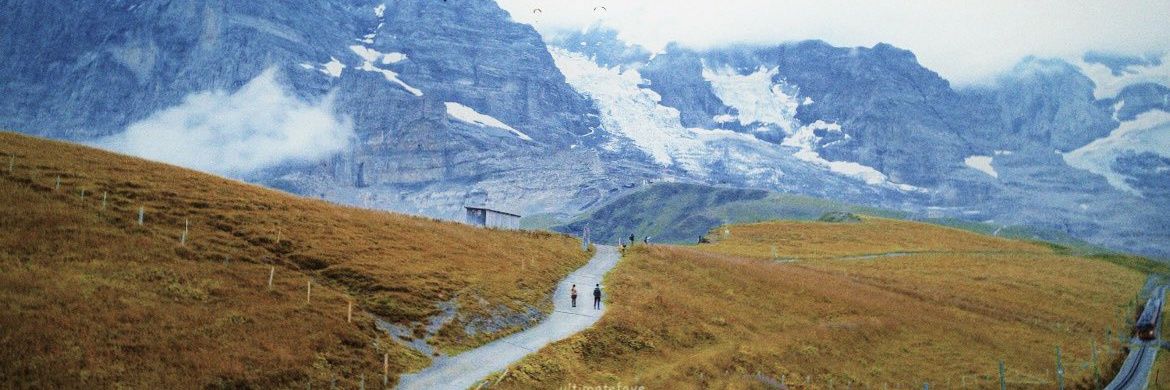 Agatha 🌷🐛 banner