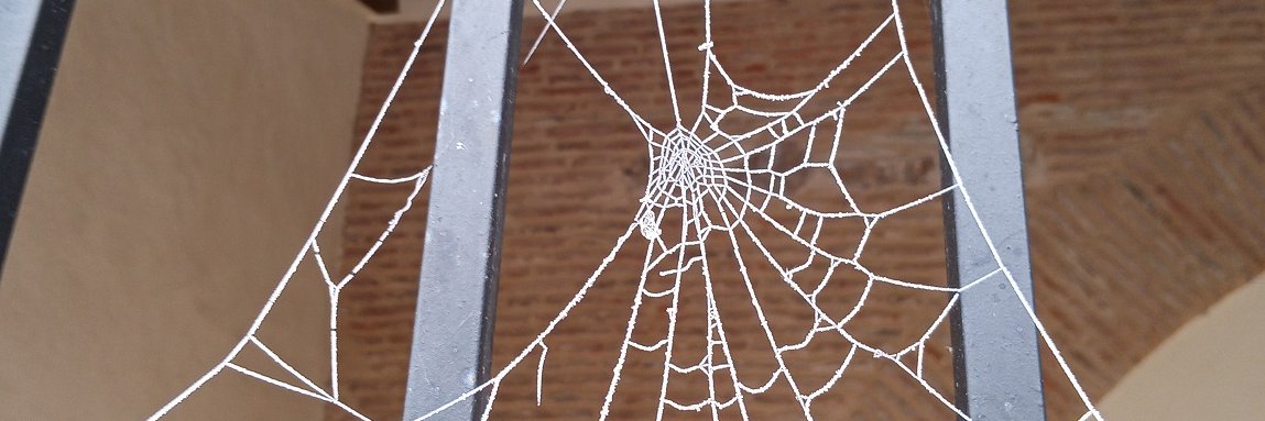 Emilio Alvarez R banner