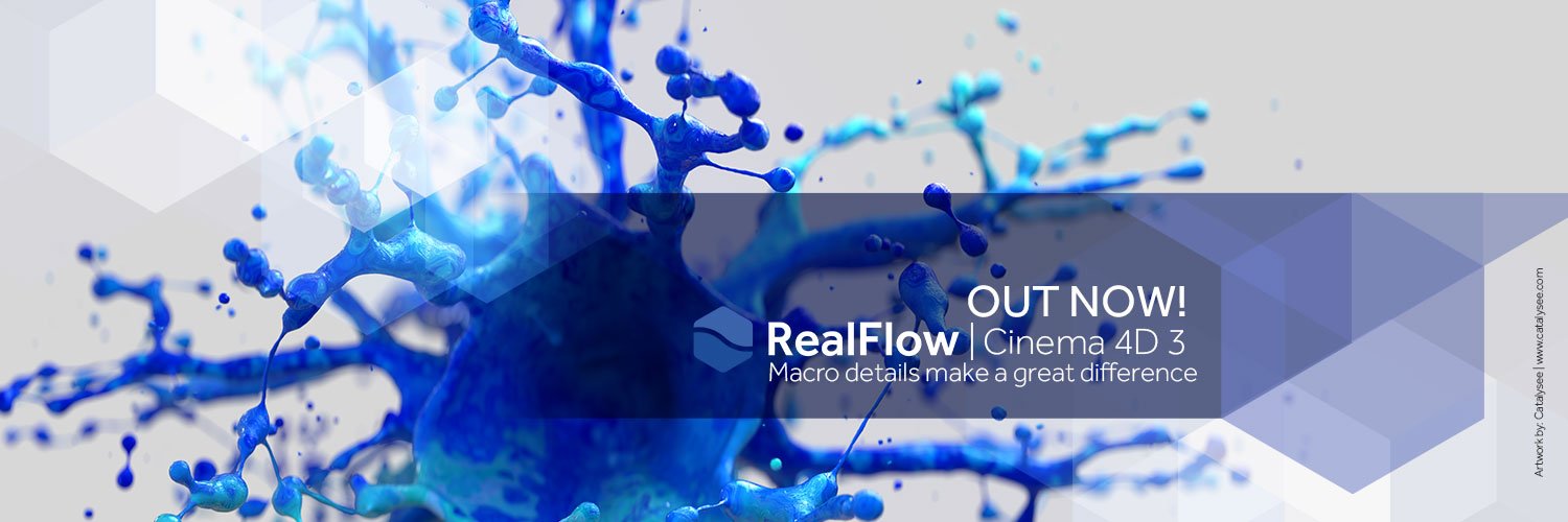 RealFlow banner