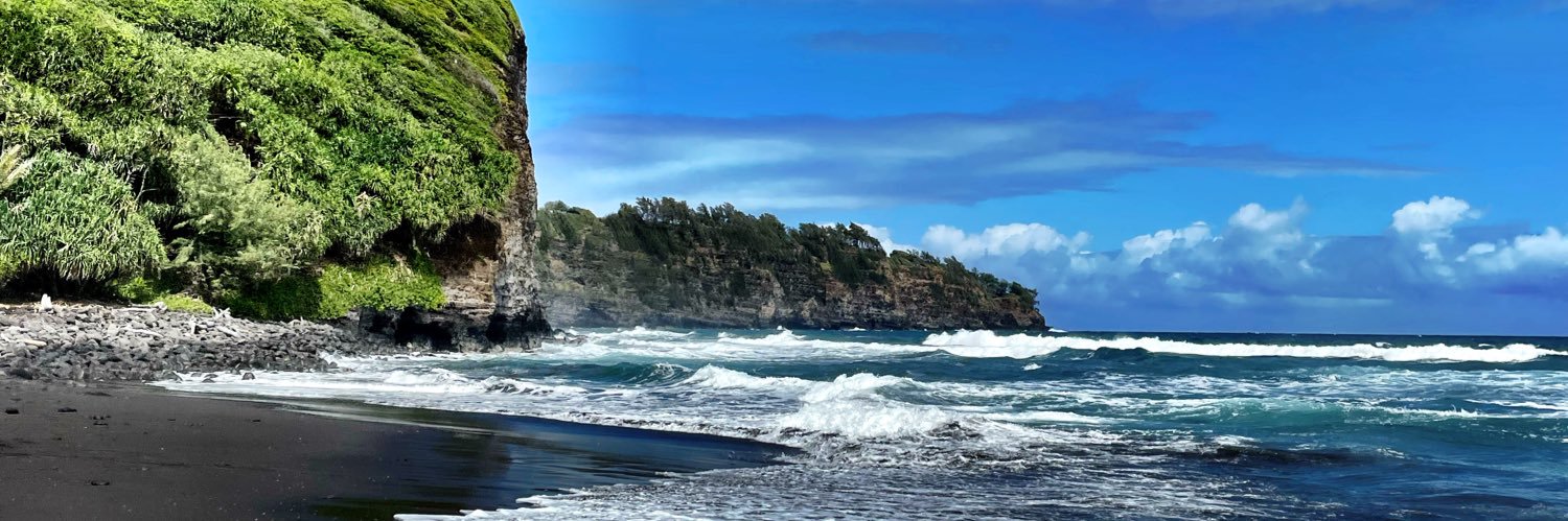 Ashley Garrett Browne banner