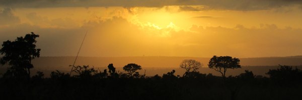 timvernimmen Profile Banner