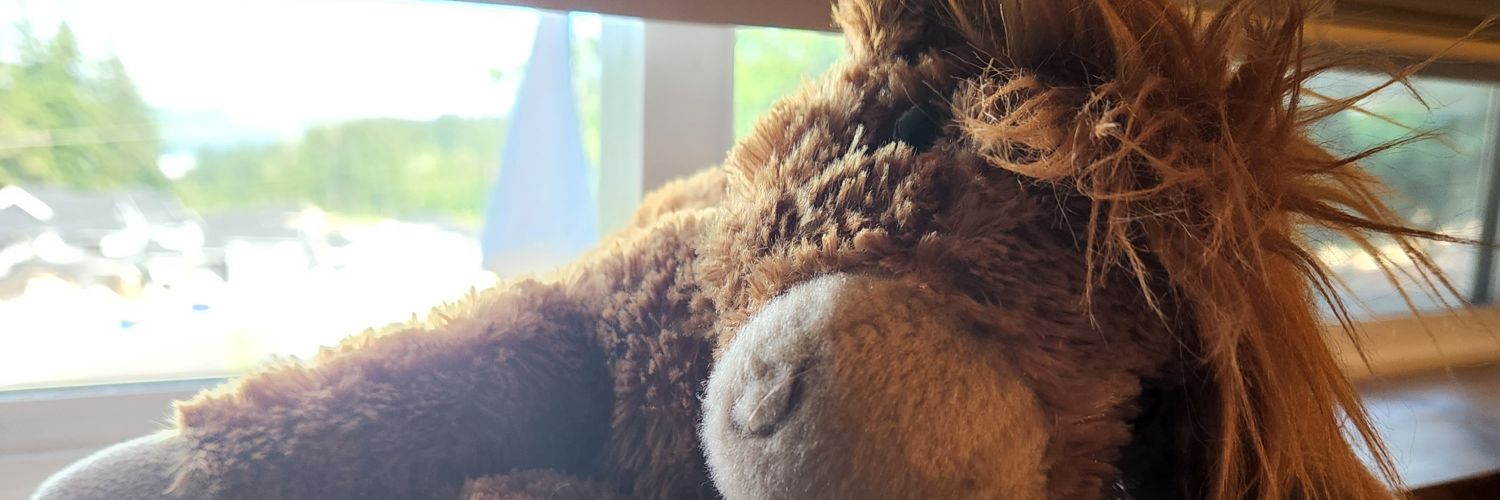 PupVenn's profile banner image