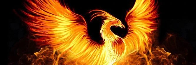 abinksma's profile banner image