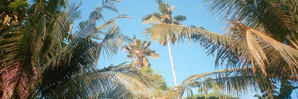 apeunit Profile Banner