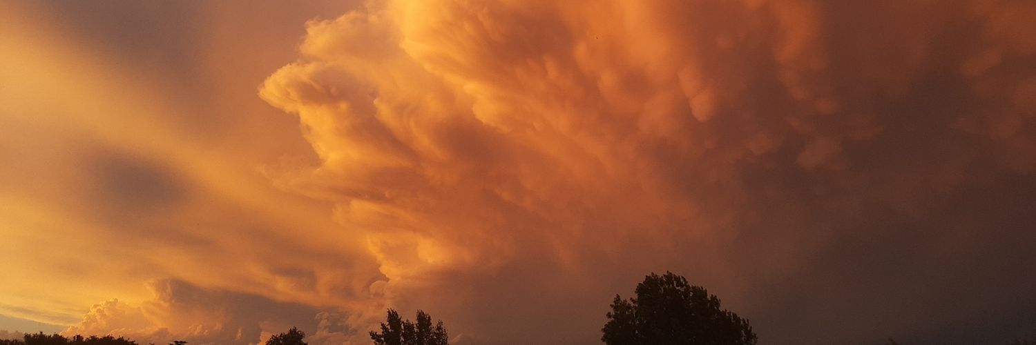 IsisCeballos4's profile banner image