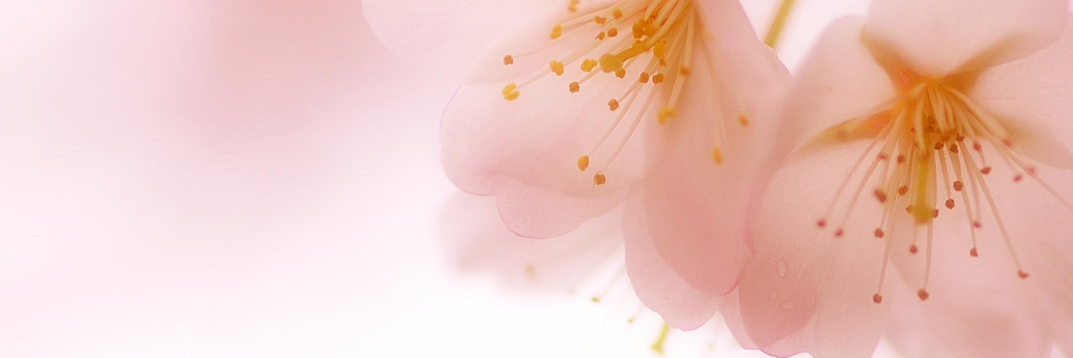 moffnyanco's profile banner image