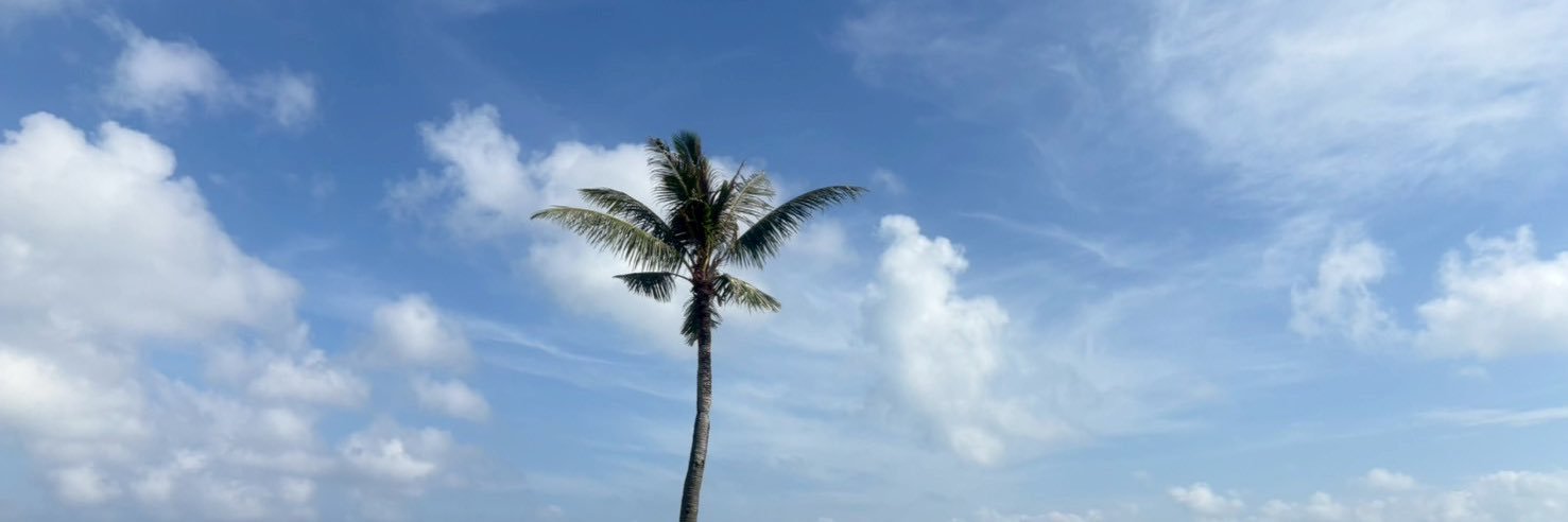 LaaavFande's profile banner image