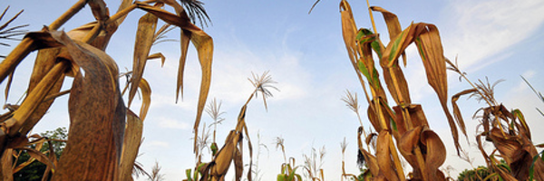 CorbeelsM Profile Banner