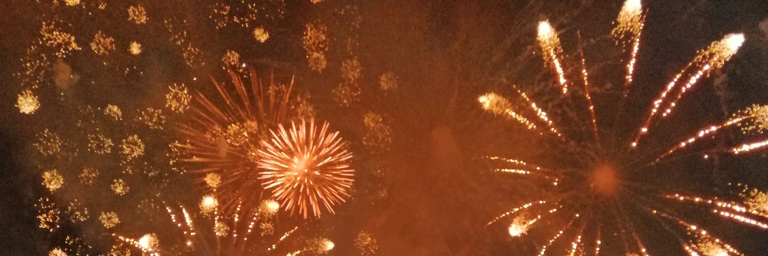 zzlybear01's profile banner image