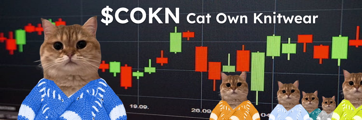 CatOwnKnitwear's profile banner image