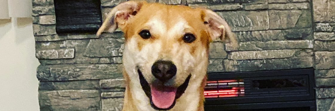 SoberNugg's profile banner image