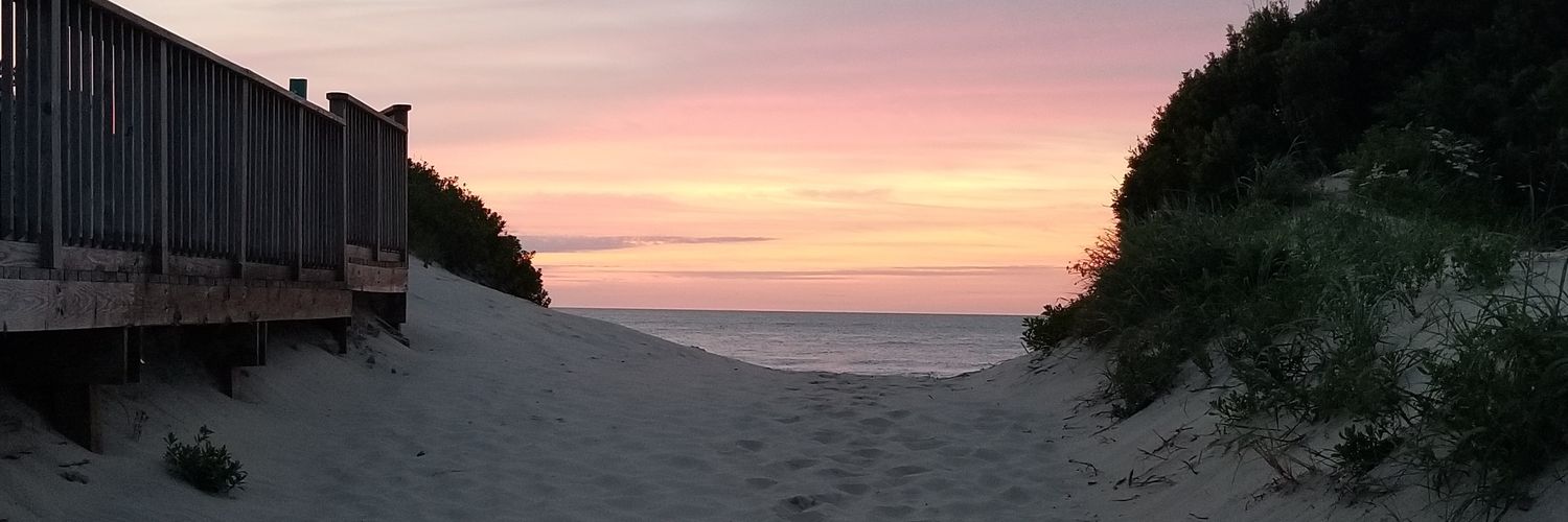 TrtleShellSwag's profile banner image