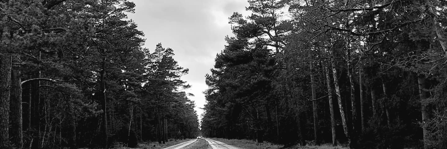 IngeTroest's profile banner image