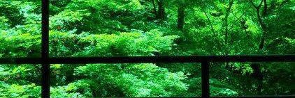 massao39's profile banner image